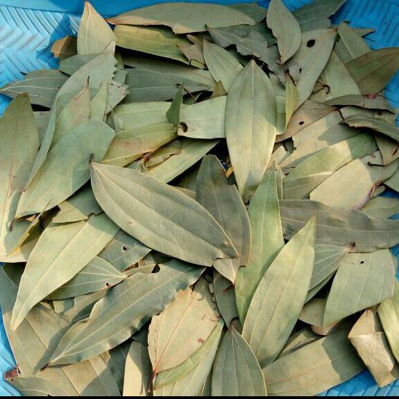 Bay leaf-JANBI Traders