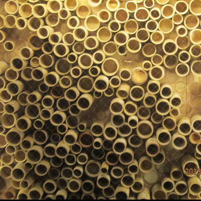 BAMBOO CEILING (416)-OPTITECH INFRA Projects India OPC Pvt Ltd