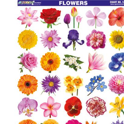 Flowers Sticker Chart-Skylark Printers