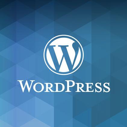 Wordpress Development-Magento Extension Development - Ecomsolver
