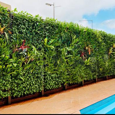 VERTICAL GARDEN (919)-OPTITECH INFRA Projects India OPC Pvt Ltd
