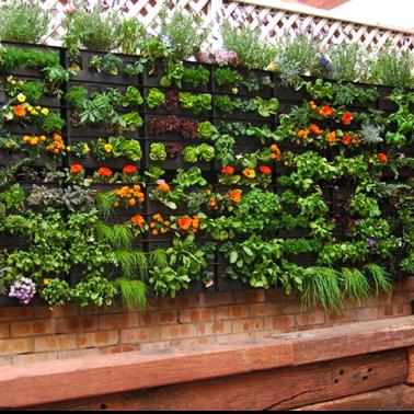 VERTICAL GARDEN (920)-OPTITECH INFRA Projects India OPC Pvt Ltd