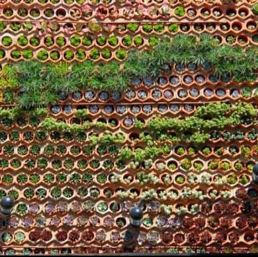 VERTICAL GARDEN (922)-OPTITECH INFRA Projects India OPC Pvt Ltd