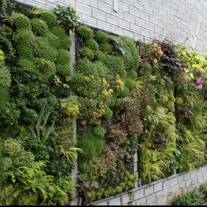 VILLA GATE-GRILL-WINDOW GRILL (947)-OPTITECH INFRA Projects India OPC Pvt Ltd