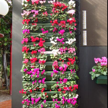 VERTICAL GARDEN (930)-OPTITECH INFRA Projects India OPC Pvt Ltd