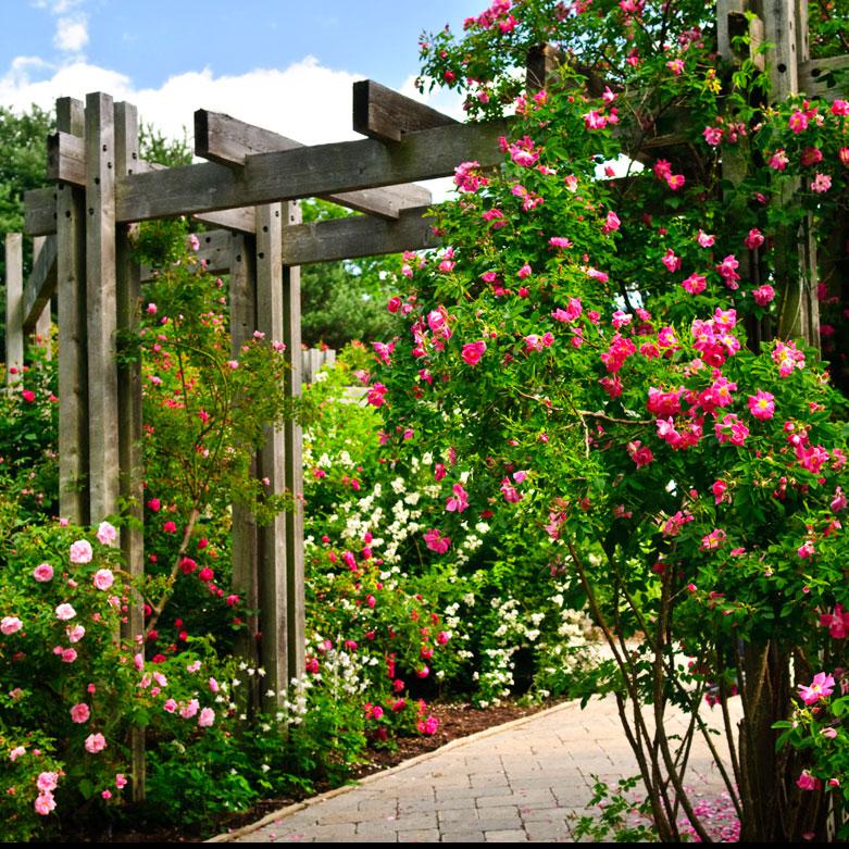 VERTICAL GARDEN (934)-OPTITECH INFRA Projects India OPC Pvt Ltd