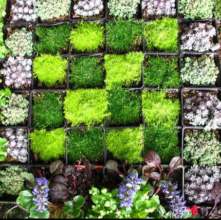 VERTICAL GARDEN (935)-OPTITECH INFRA Projects India OPC Pvt Ltd