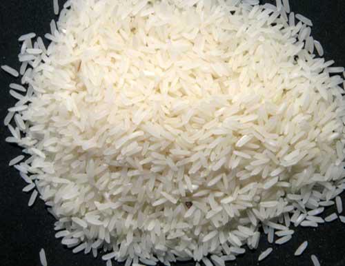 Sona Masuri Rice 25% Broken -Double Good Organics Private Limited 