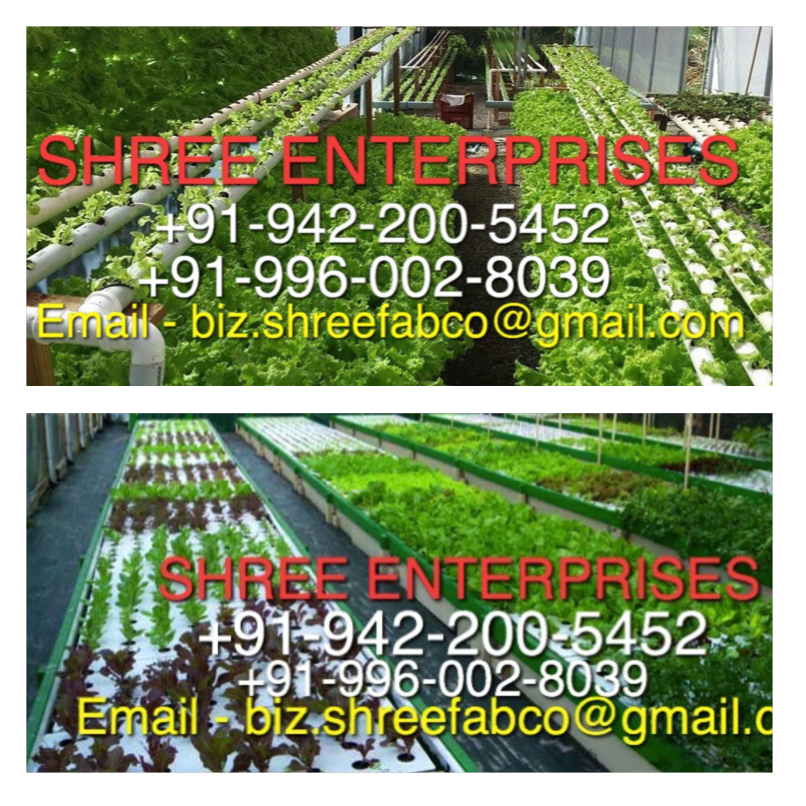 Aquaponics Vegitable Growing System-SHREE ENTERPRISES HYDROPONICS & AQUAPONICS