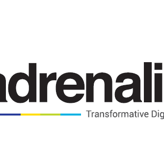 HR Analytics-Adrenalin eSystems Ltd 