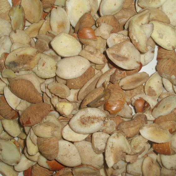 African mango seeds -Rathore traders