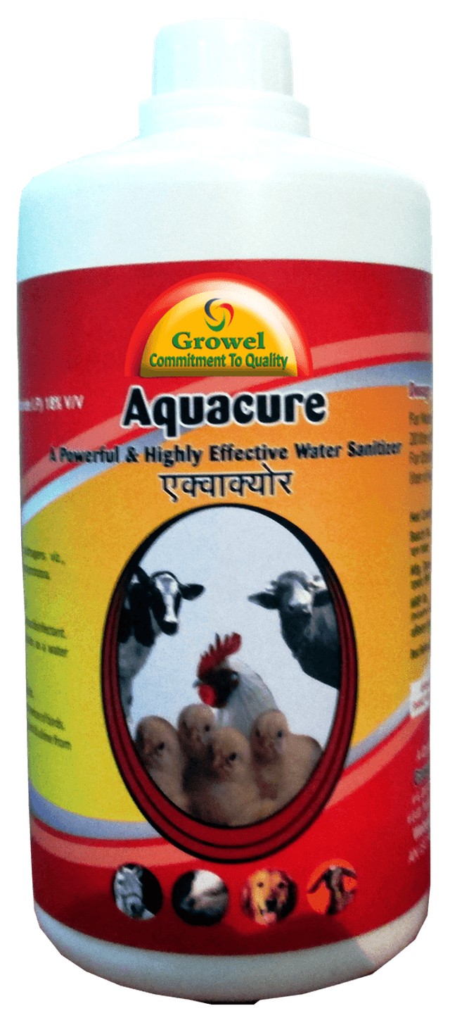 Highly Effective Water Sanitizer & Disinfectant for Poultry.-Growel Agrovet Private Limited