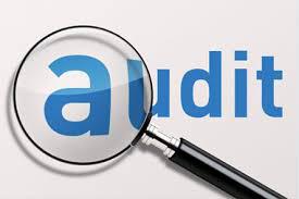 Auditing & Assurance-Shah Jain & Co, Chartered Accountants