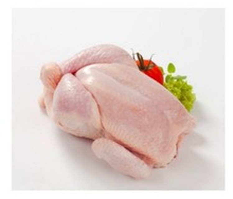 Halal Grade A Frozen Chicken Feet, Paws-Verhagen BV Limited