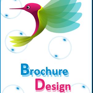 Brochure Designing-Infocrest