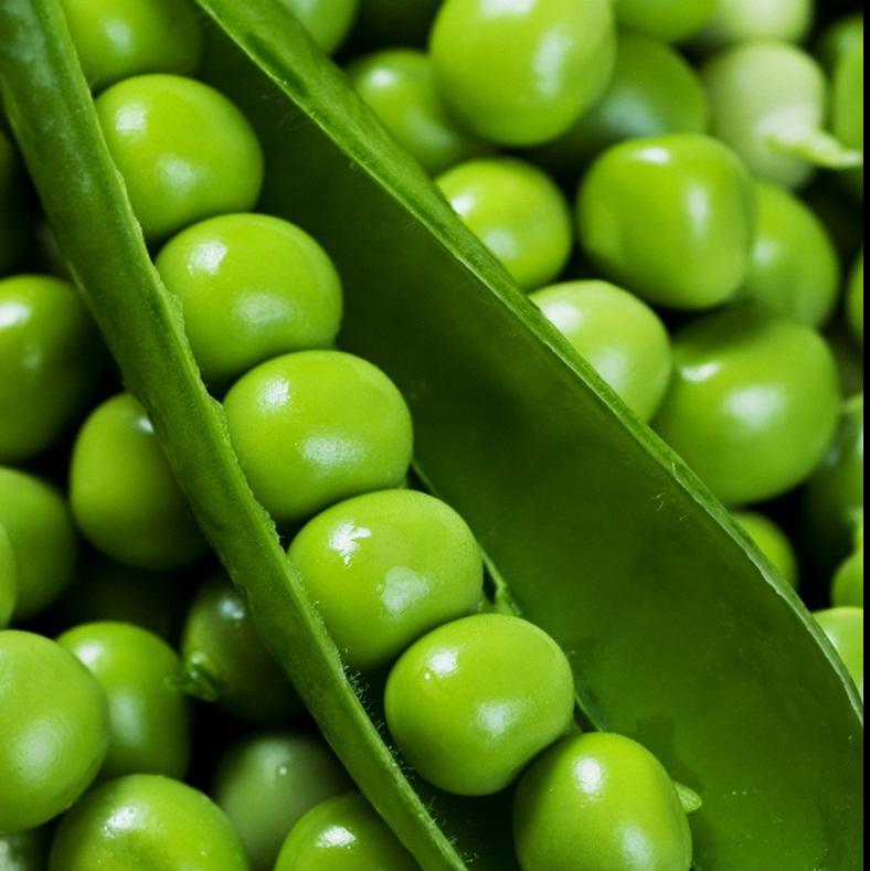 GREEN  PEAS  IN  CAN -Lista de titulos