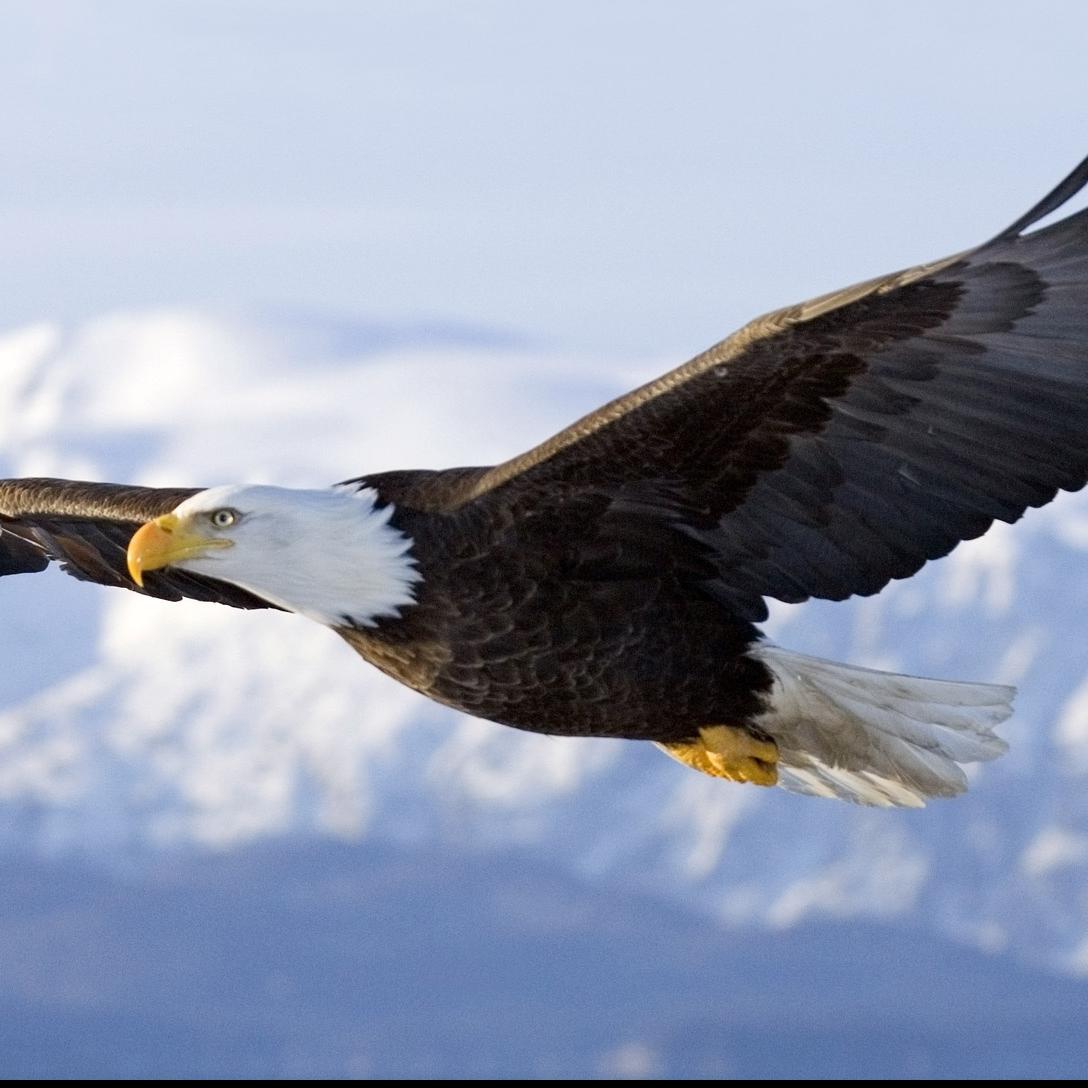 Training on LEADERSHIP-Continuing Education & Training Centre