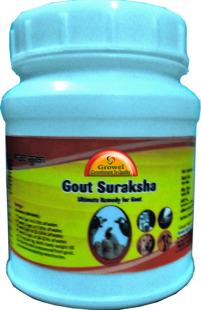 Ultimate Remedy for Gout in Poultry-Growel Agrovet Private Limited