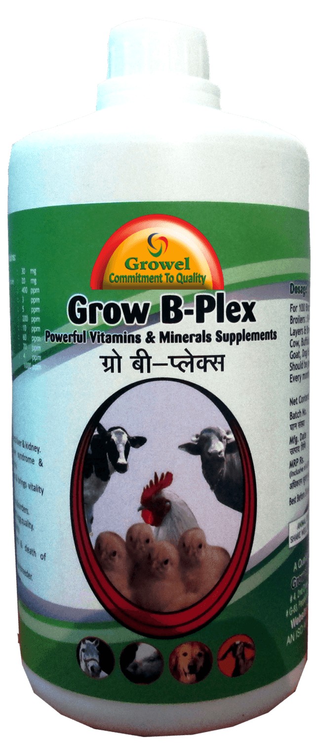 Vitamin B-Complex with Vitamin E ,Vitamin C,Amino Acids & Minerals for Cattle & Poultry-Growel Agrovet Private Limited