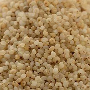 Himalayan Organic Jhangora - Barnyard Millet-Double Good Organics Private Limited 