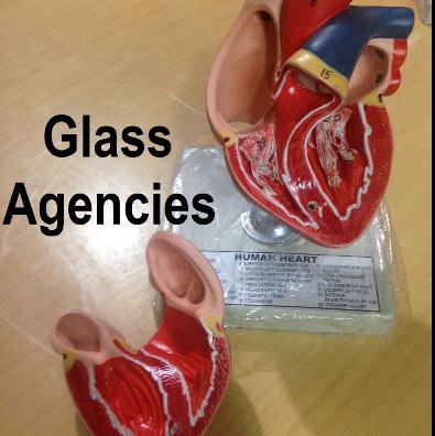 Human Heart-Glass Agencies