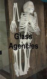 Human Skeleton-Glass Agencies
