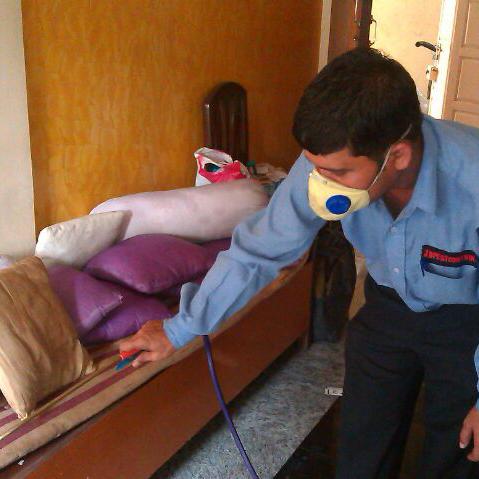 General Pest Control Services-JD Pest Control