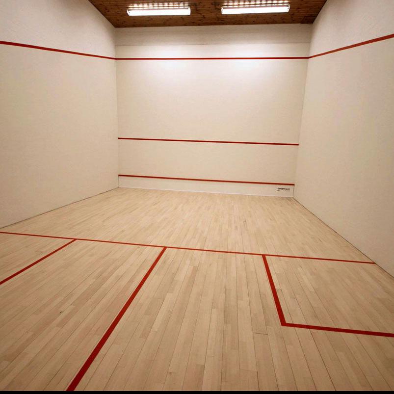Squash Court Hard Plaster System-A ONE WOOD CRAFT LLP