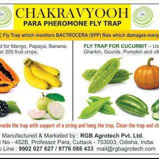 Chakravyooh  para pheromone trap -Rgb agrotech pvt ltd 