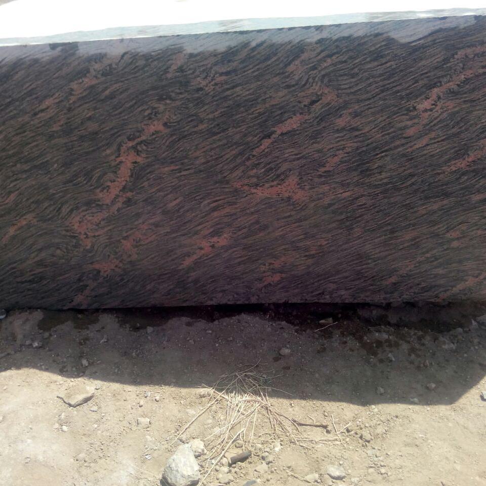 Tiger skin-Shree Kalyan innovator & Panurgy Logics