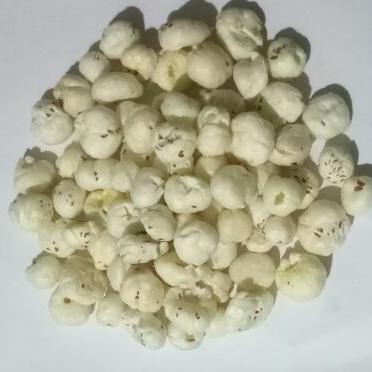 Makhana-Protiva Enterprises