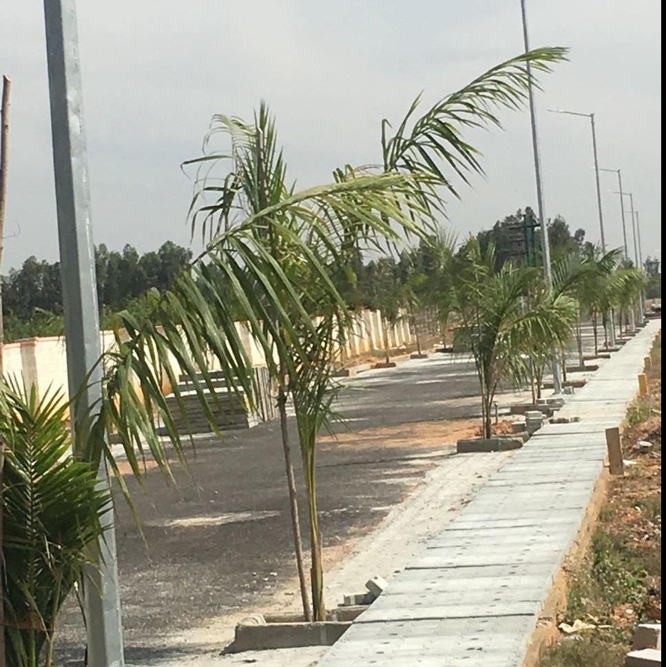 Tekton whitecounty villa plots near Whitefield -Tekton estates pvt Ltd 