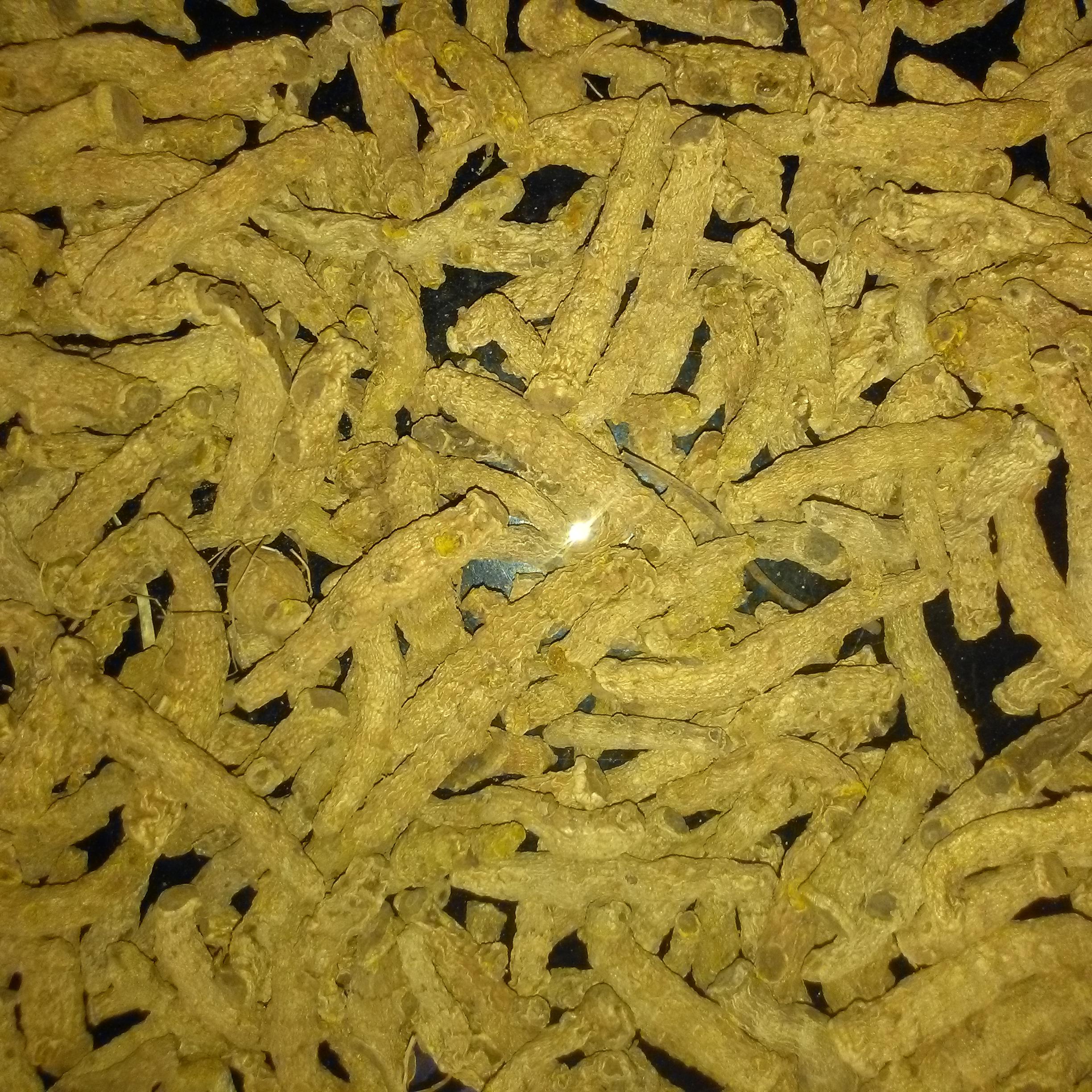 Turmeric-ODISHA MERCHANDISE PRIVATE LIMITED