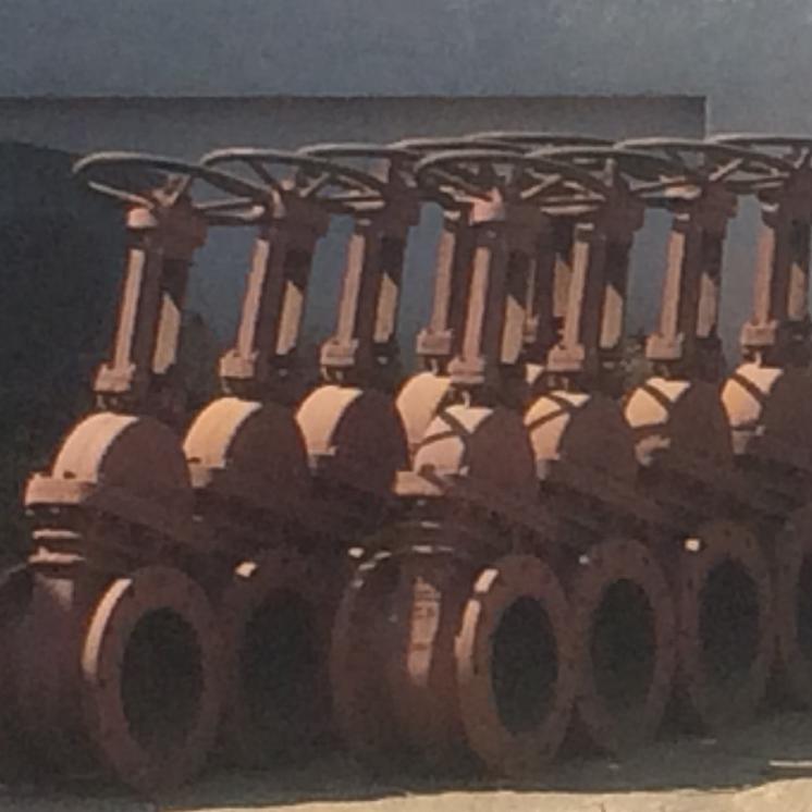 Gate  vALVES -Rappid Valves (India) Private Limited 