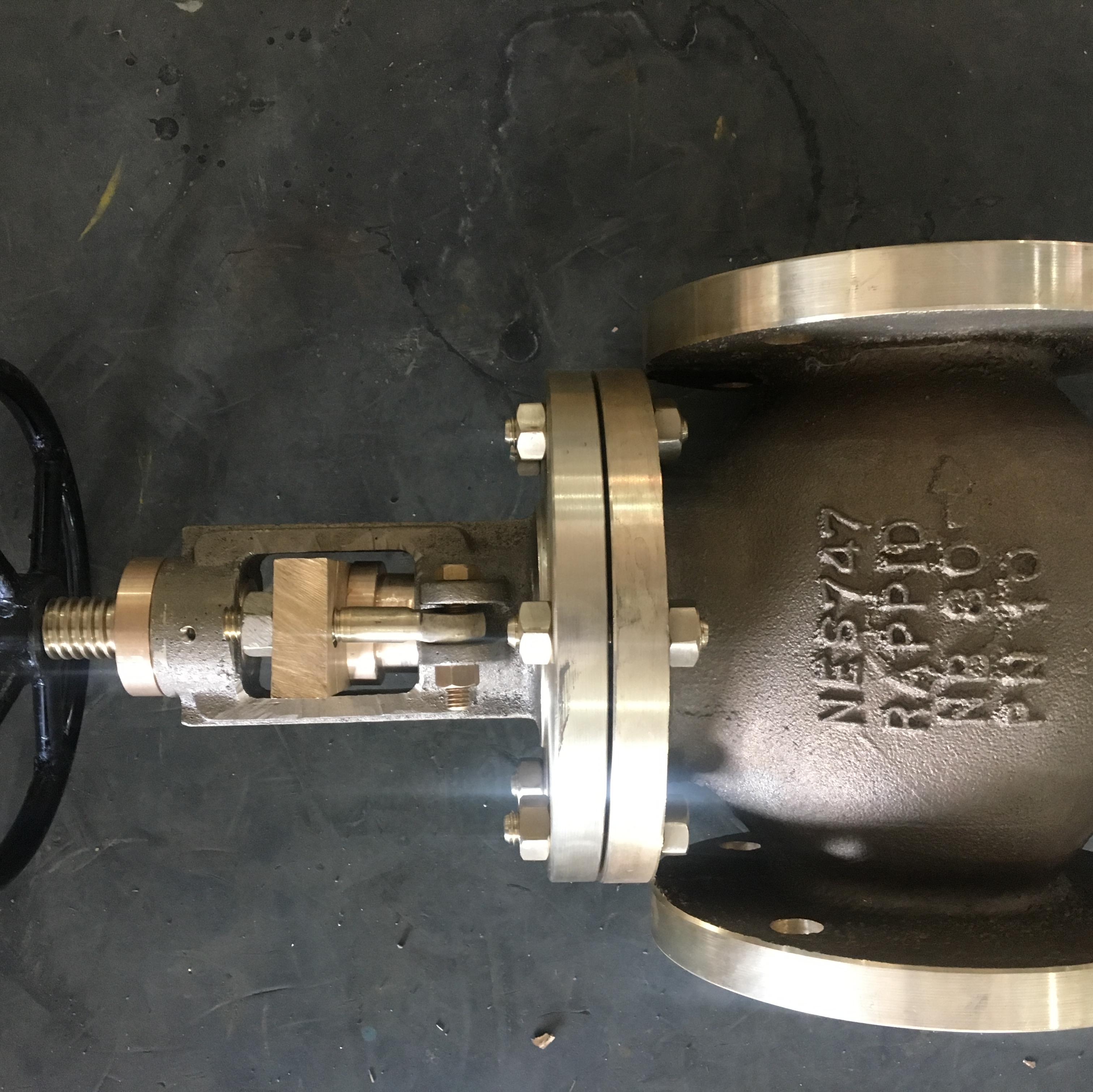 GLOBE VALVES-Rappid Valves (India) Private Limited 