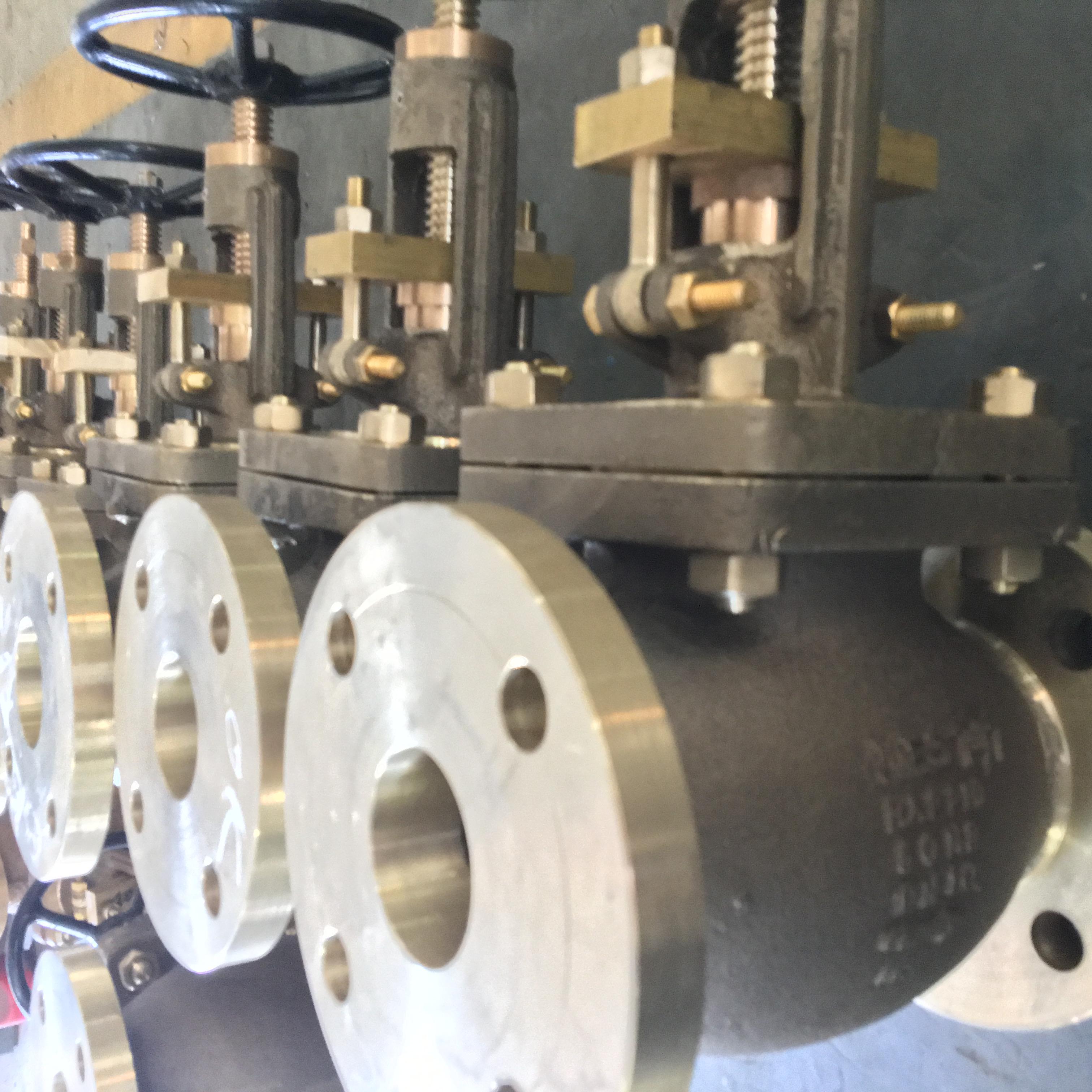 SDNR / globe valves -Rappid Valves (India) Private Limited 