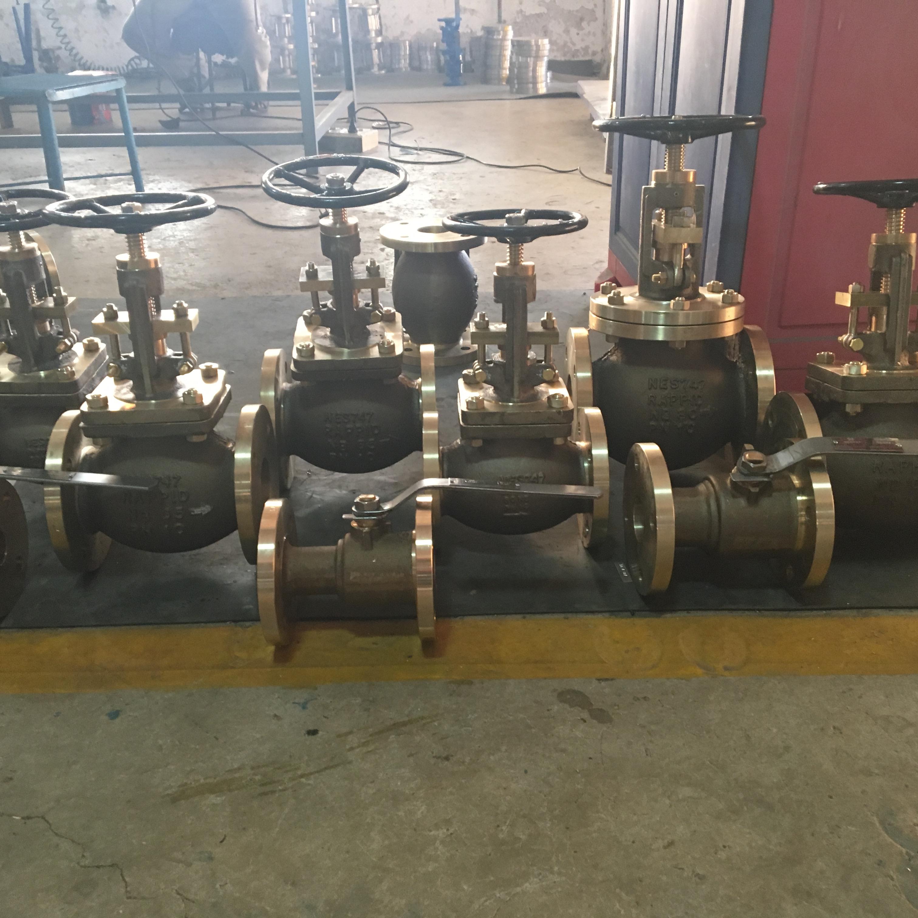 NAB Valves -Rappid Valves (India) Private Limited 