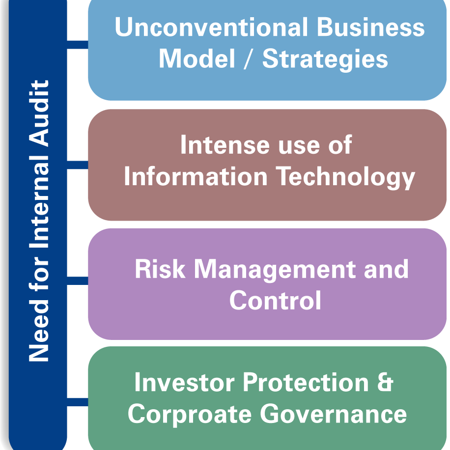 INTERNAL AUDIT-Treeline Business Solutions Pvt Ltd