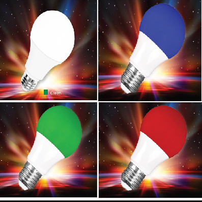 Led Bulb-Dien Quang Lamp Joint Stock Company, Vietnam