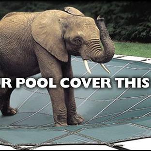 Pool Safety Cover-Ali Hassan General Trading