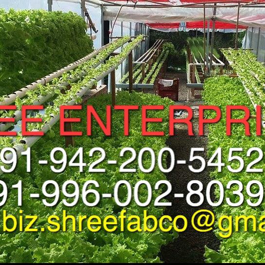 NVPH -Naturally Ventilated Polyhouse-SHREE ENTERPRISES HYDROPONICS & AQUAPONICS