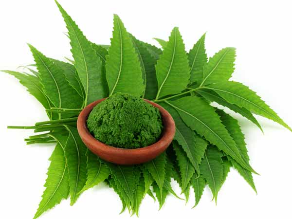 Neem Powder-Gajraj Traders