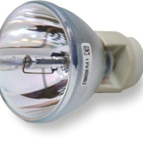 Projector Lamp-A M Services 