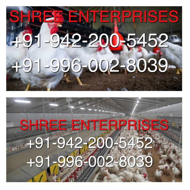 Poultry House and Poultry Equipments-SHREE ENTERPRISES HYDROPONICS & AQUAPONICS