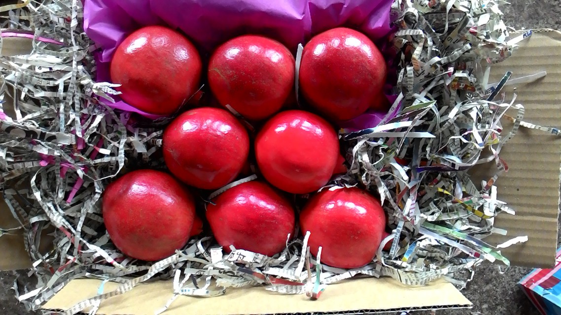 Pomegranate-Harikripa Fresh Fruits