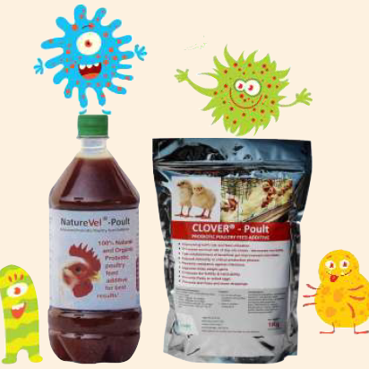 Poultry Feed Supplement - Clover Poult & NatureVel Poult-Clover Organic Pvt. Ltd.
