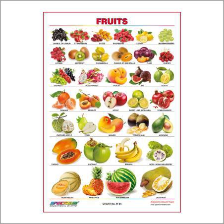 Fruits Chart-Skylark Printers