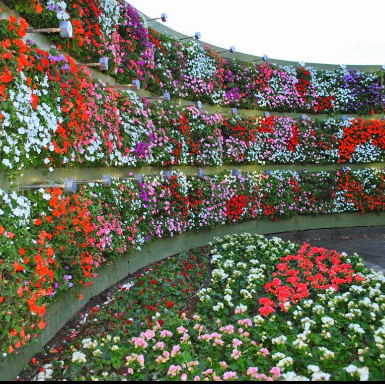 VERTICAL GARDEN (928)-OPTITECH INFRA Projects India OPC Pvt Ltd