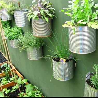 VERTICAL GARDEN (932)-OPTITECH INFRA Projects India OPC Pvt Ltd