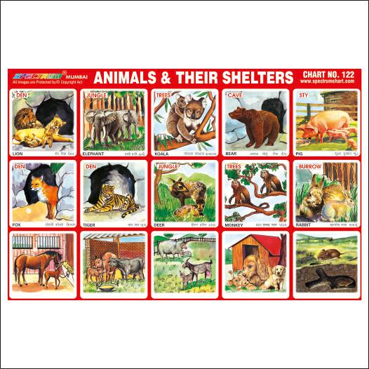 Animals & Their Shleters Sticker Chart-Skylark Printers